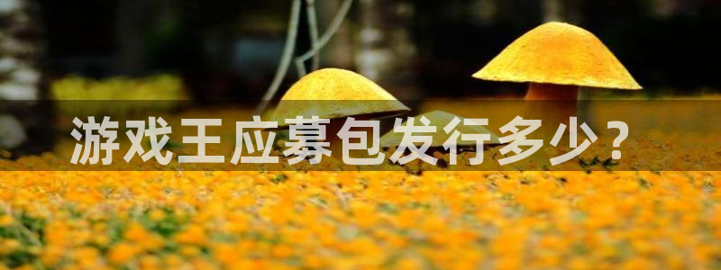 四川银河(galaxy)科技有限公司：游戏王应募包发行多少？