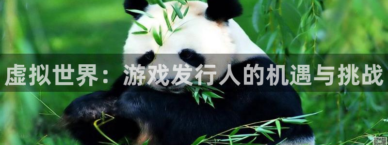 银河官网跑路了吗：虚拟世界：游戏发行人的机遇与挑战