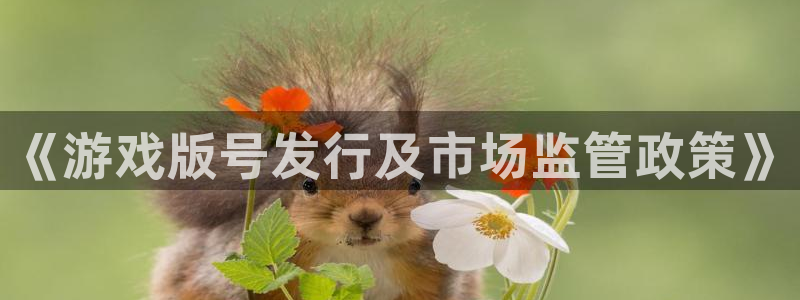 银河(galaxy)智邦(北京)品牌策划有限公司：《游戏版号发行及市场监管政策》