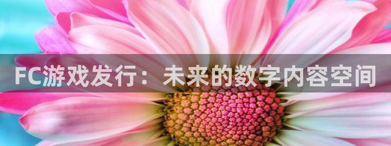 银河(galaxy)电子科技