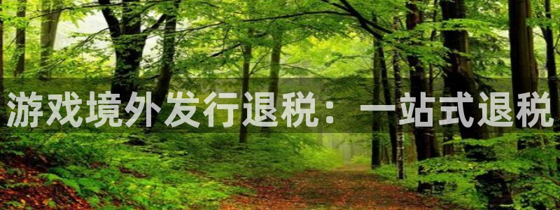 银河(galaxy)品牌策划团队介绍：游戏境外发行退税：一站式退税